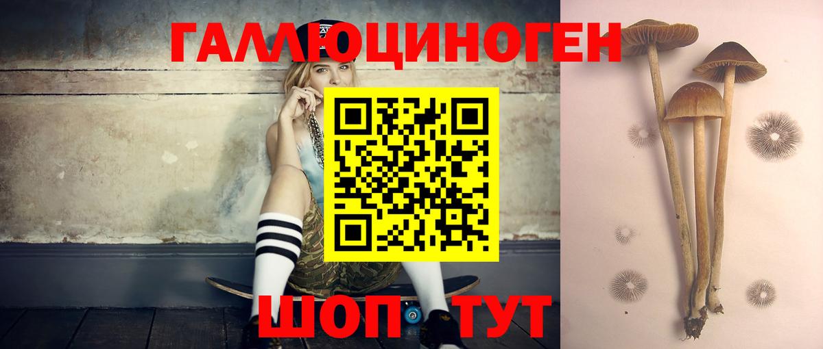 Галлюциногенные грибы MAGIC MUSHROOMS Темрюк